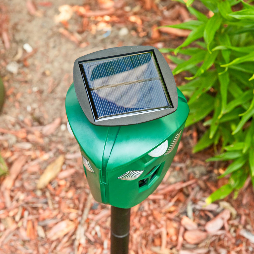 Sunnydaze 360° Solar-Powered Ultrasonic Animal Repeller with Mounting Pole - Solar Power or USB - 3 PIR Motion Sensors, 19.5, Green, XPT-0631